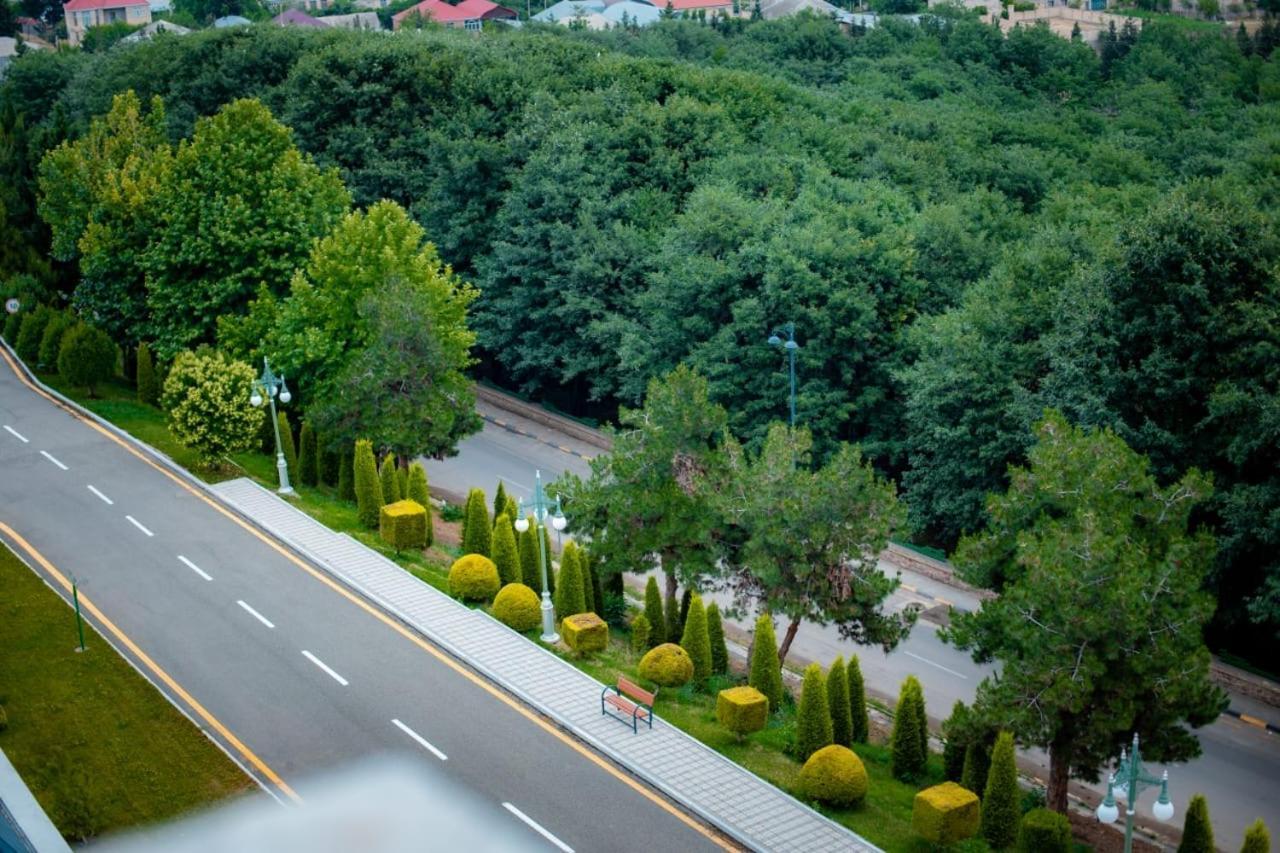 Ayan Palace Hotel Товуз Экстерьер фото